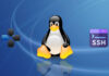 commandes de base sous Linux commandes de base sous Linux